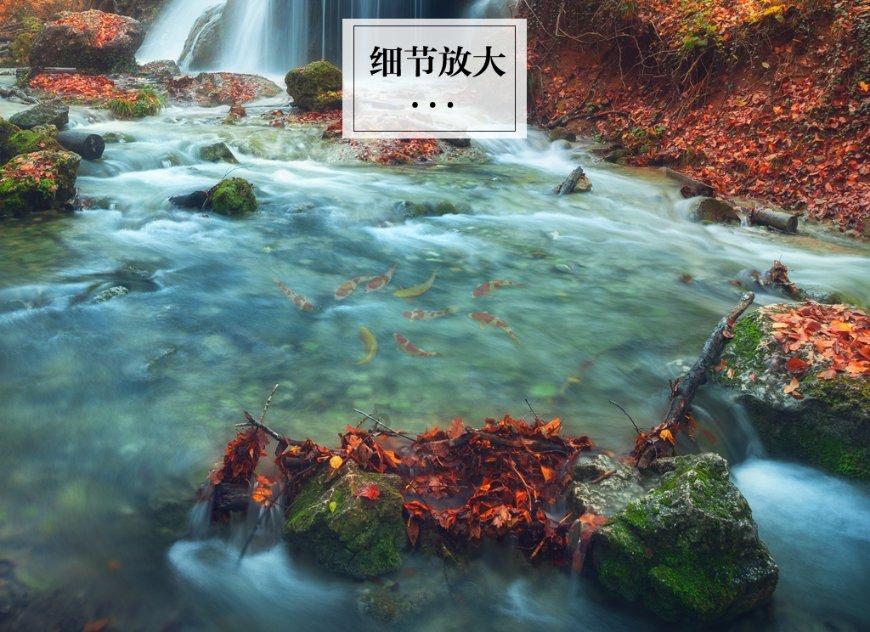 懒羊羊的奇幻世界